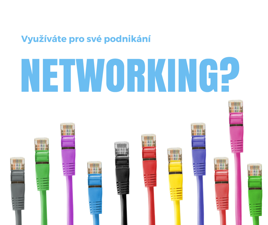 Využíváte pro své podnikání networking?